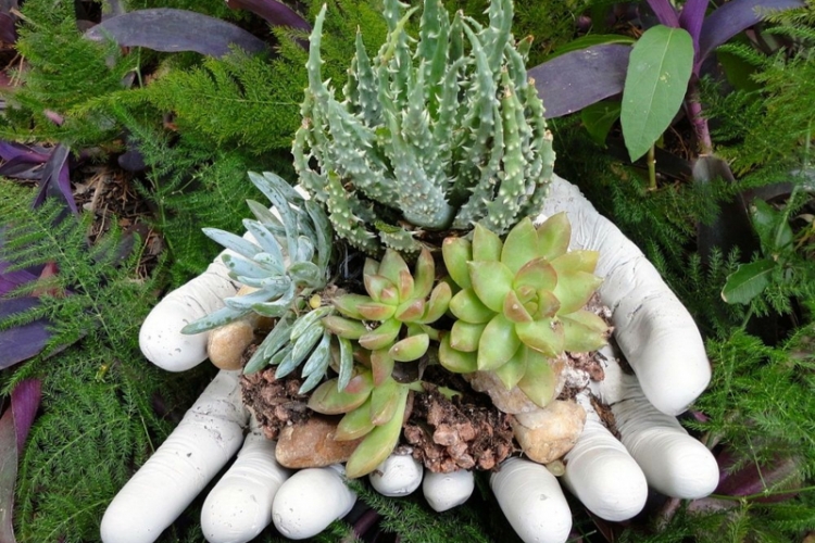 déco-jardin-béton-mains-gants-latex-béton-plantes-succulentes