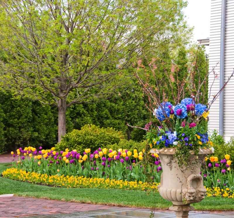 grande-jardiniere-arrangement-pensées-tulipes-hortensias grande jardinière