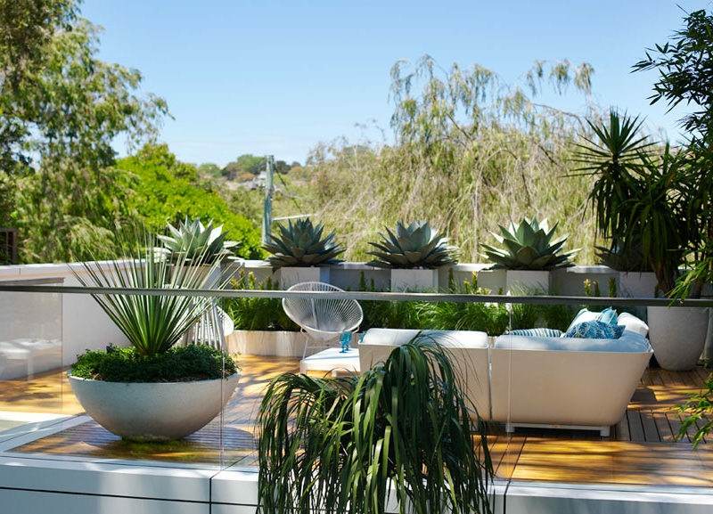 grande-jardiniere-design-ovale-gris-clair-plantes-succulentes-terrasse-bois-canapé-blanc-moderne grande jardinière