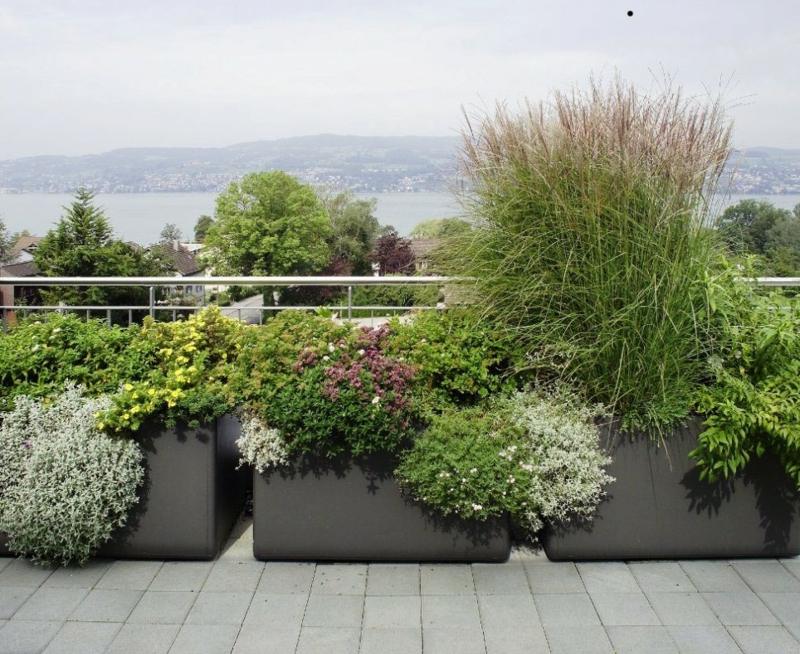 grande-jardiniere-grise-design-rectangulaire-plantes-couvre-sol-graminées-ornement