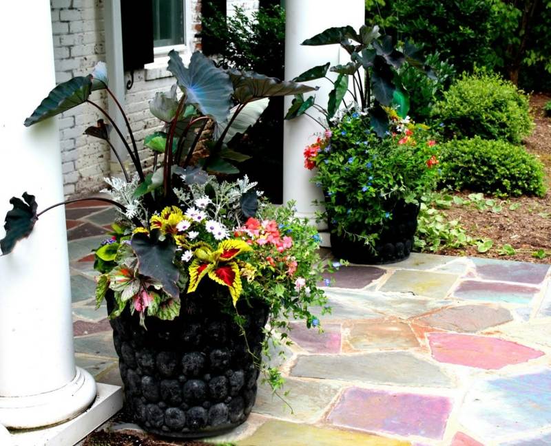 grande-jardiniere-noire-idée-décorative-arrangements-fleurs-plantes-vertes-terrasse