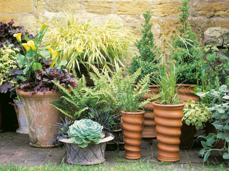 grande-jardiniere-terre-cuite-design-spirale-graminées-ornement-fougères-succulentes-calla