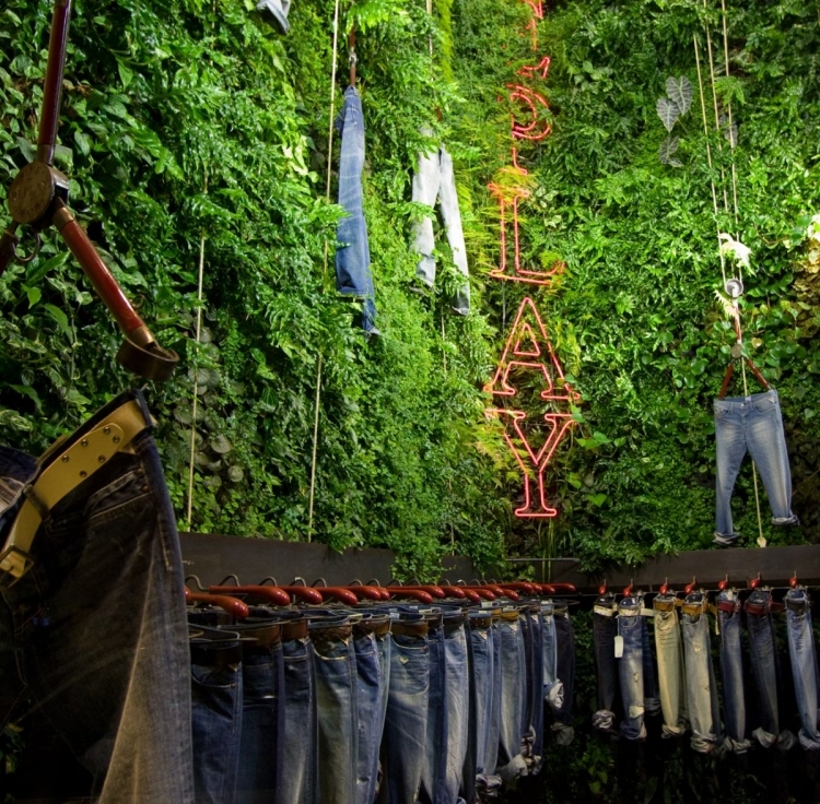 gros plan mur végétal-intérieur magasin jeans replay
