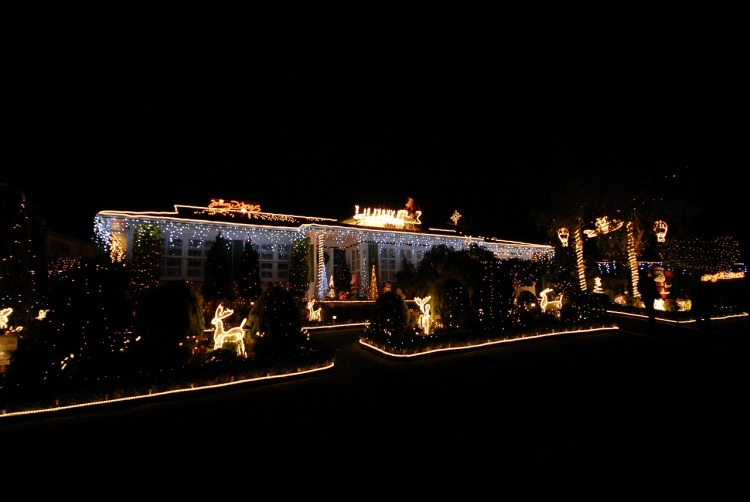guirlande-lumineuse-exterieur-Noel-jardin-deco