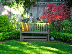 jardin-Feng-Shui quelles plantes quel cinq éléments choisir