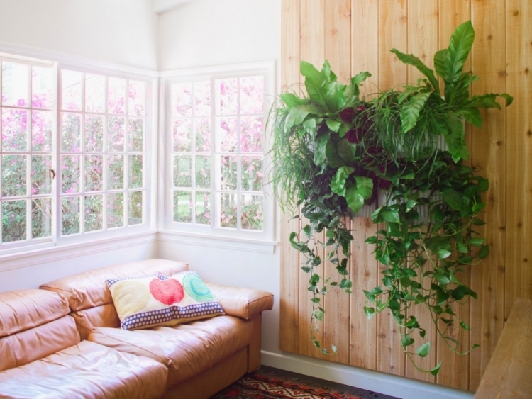 jardinières murales lambris bois alternative mur végétal-intérieur