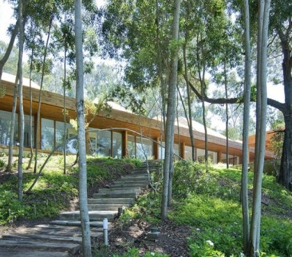 maison-bois-moderne-RP-House-design-élégant-forêt-arbres-escalier-bois