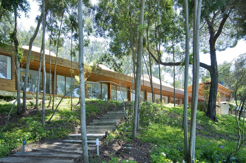 maison-bois-moderne-RP-House-design-élégant-forêt-arbres-escalier-bois maison en bois moderne