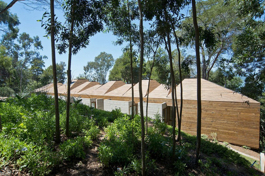 maison-bois-moderne-RP-House-forêt-arbres-plantes-vertes