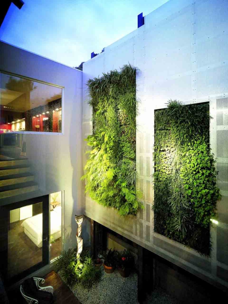 maison design moderne mur végétal extérieur super
