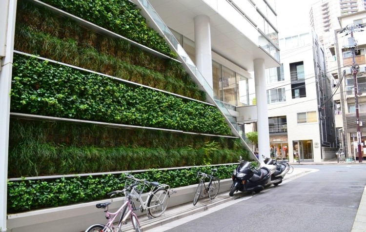 mur végétal extérieur animer paysage urbain