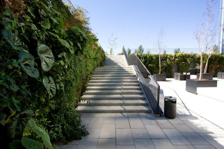 mur végétal extérieur long escaliers terrasse sous-sol