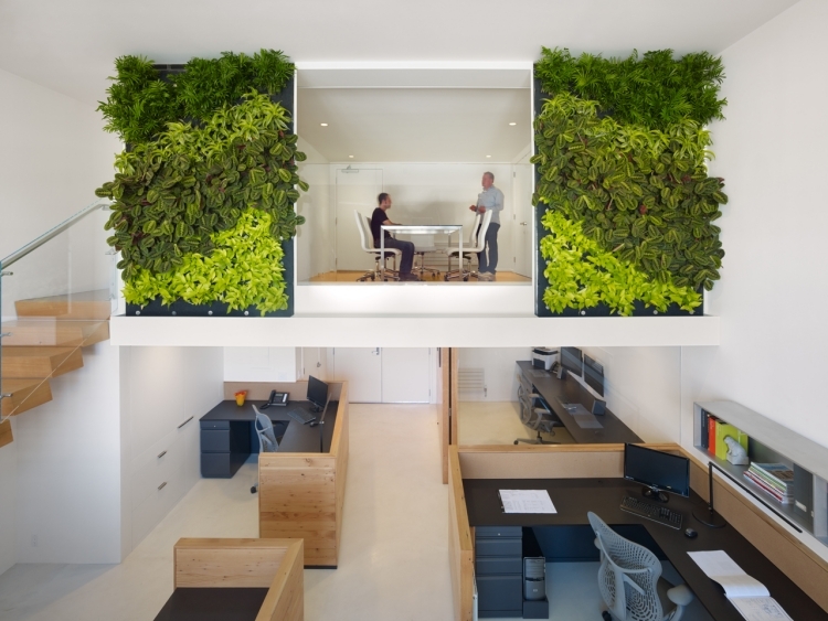 mur-végétal intérieur plus oxygène bureau