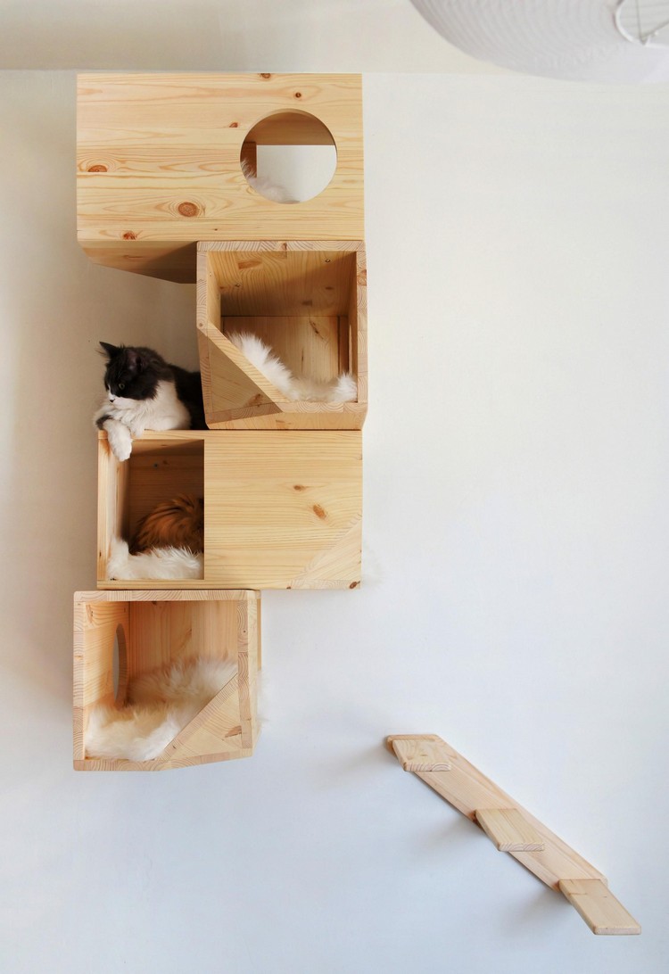 niche pour chat en bois montage mural échelle assortie