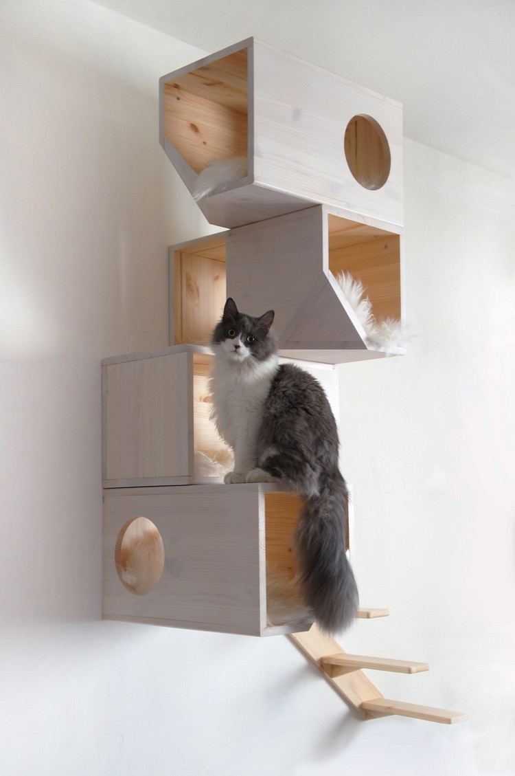 niche-pour-chat-monté-mur-échelle-accès-pin-peint-blanc