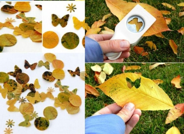 perforatrice papillon feuilles automne découpage enfants