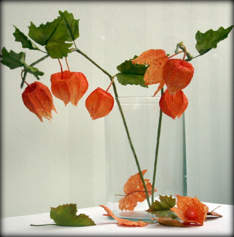 physalis-alkekengi-vase-verre-feuilles-orange-vertes physalis alkekengi