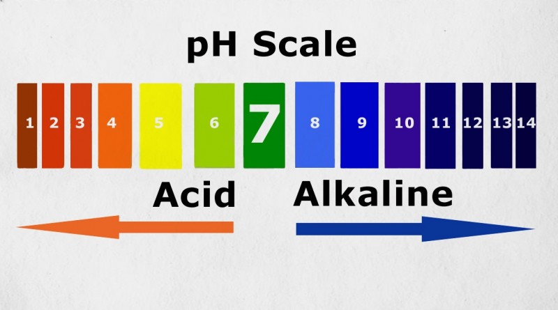 regime-acido-basique-échelle-pH-alcalin-acide-neutre régime acido-basique