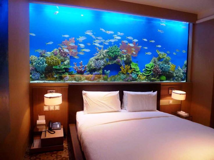aquarium-maison-chambre-coucher-grand-aquarium-chambre-coucher