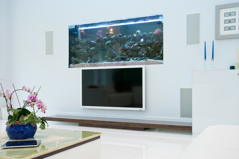 aquarium-maison-fixé-mur-dessus-écran-tv-plat aquarium maison