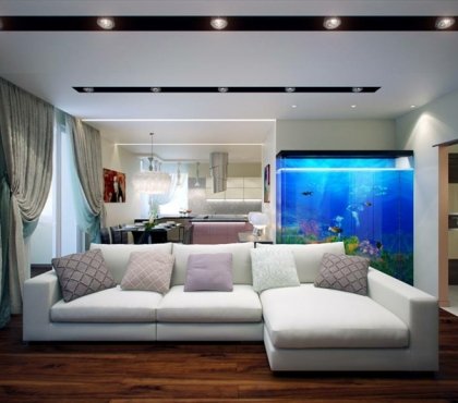 aquarium-maison-grand-forme-cube-salon-canapé-blanc-parquet-bois-sombre