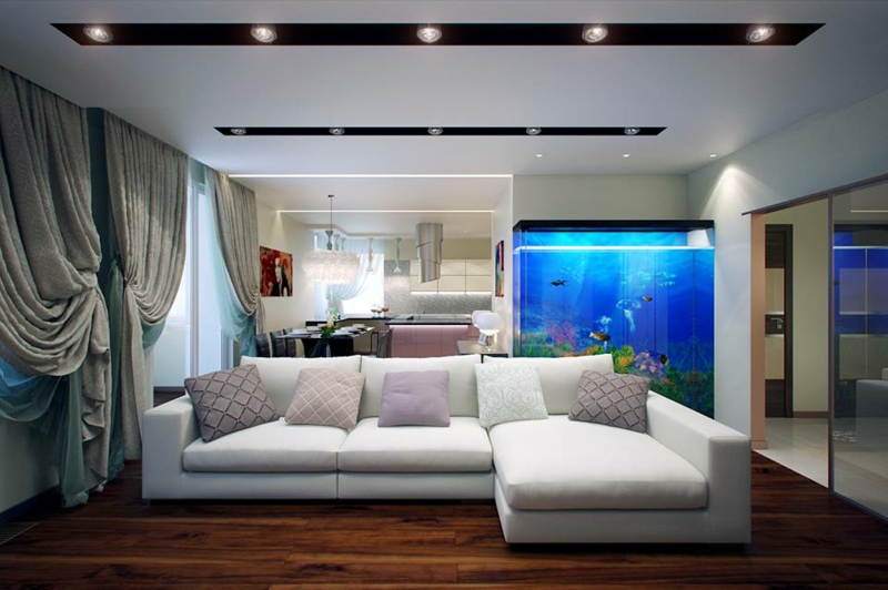 aquarium-maison-grand-forme-cube-salon-canapé-blanc-parquet-bois-sombre