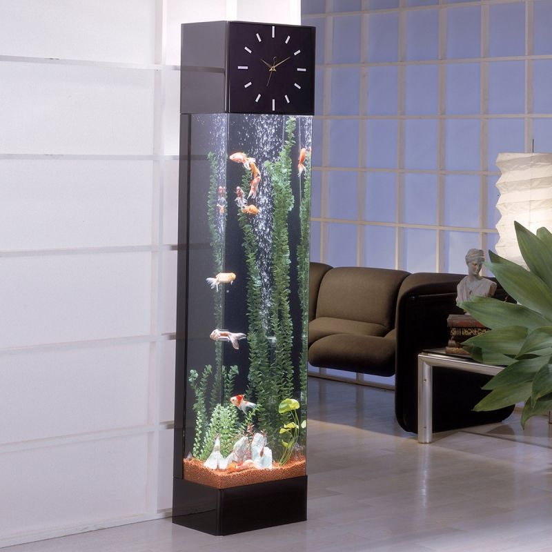 aquarium-maison-horloge-aquarium-colonne-moderne aquarium maison
