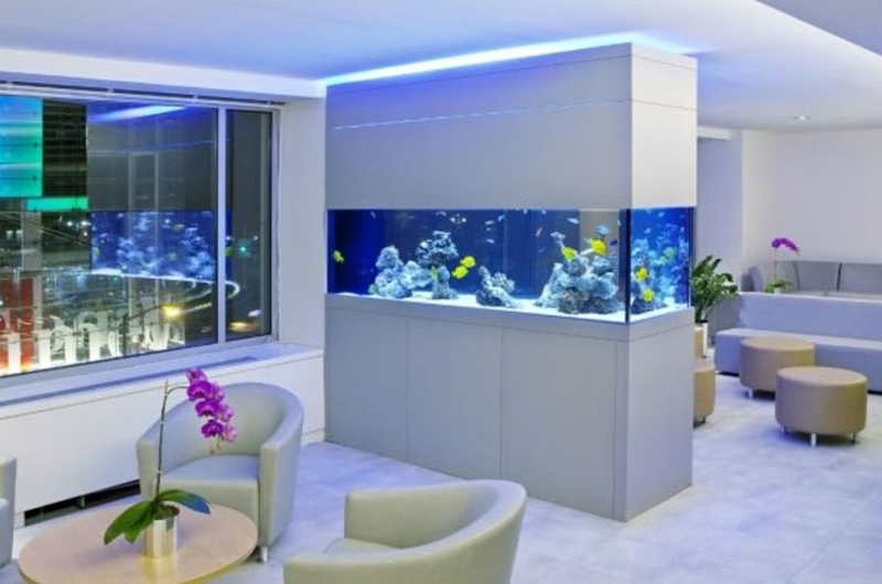 aquarium-maison-meuble-aquarium-blanc-séparation-coin-lounge aquarium maison aquarium maison