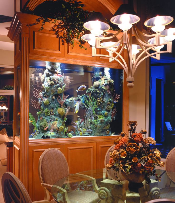 aquarium-maison-meuble-aquarium-bois-salle-manger aquarium maison