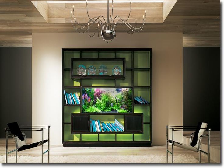 aquarium-maison-meuble-rangement-aquarium-encastrer-salle-séjour