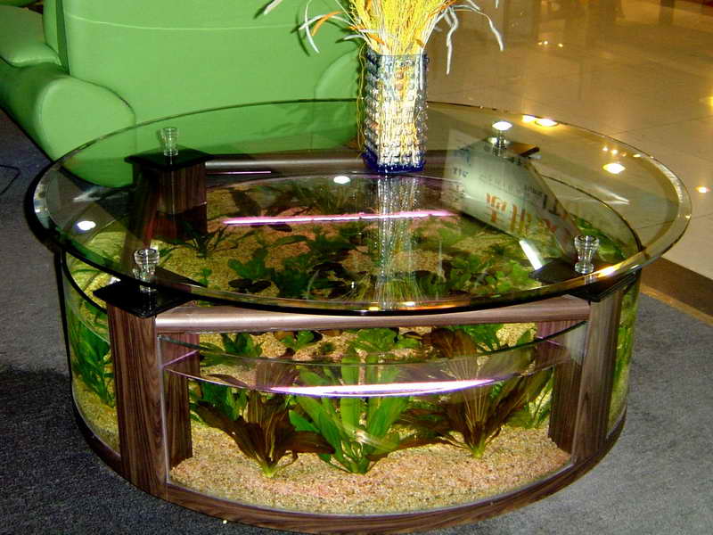 aquarium-maison-table-basse-aquarium-rond-verre-épais
