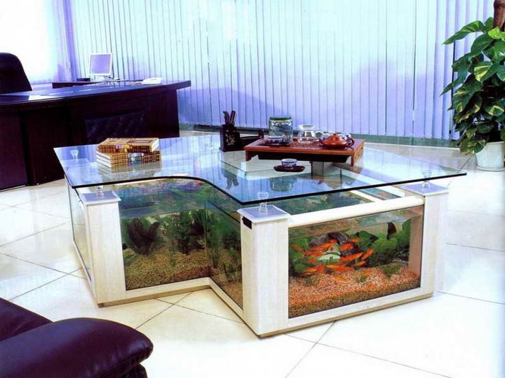 aquarium-maison-table-basse-forme-originale-aquarium