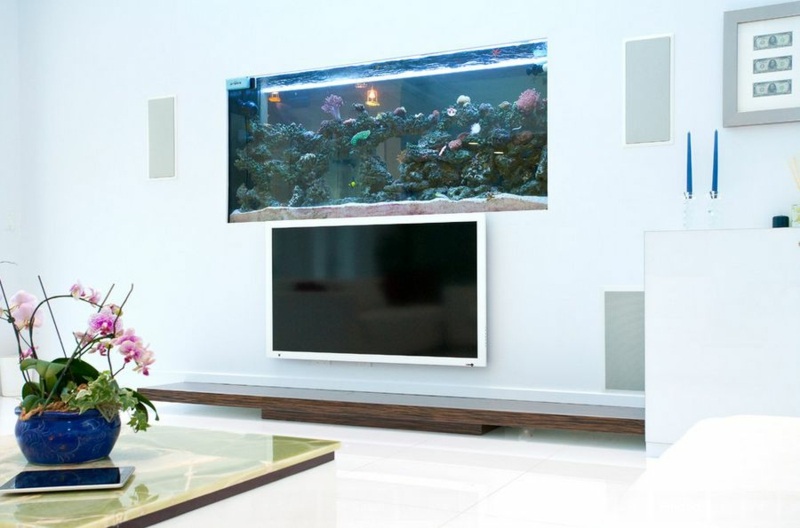 aquarium-maison-écran-tv-plat-aquarium-rectangulaire-encastrer-dessus-tv