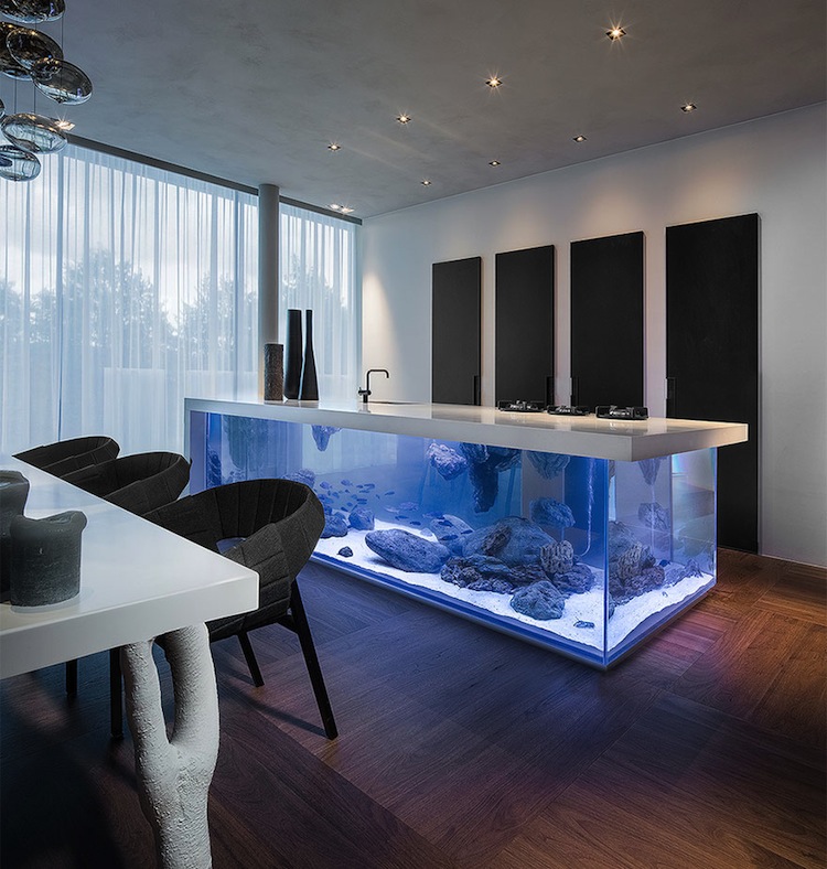 aquarium-maison-îlot-cuisine-design-aquarium-moderne-coin-repas aquarium maison
