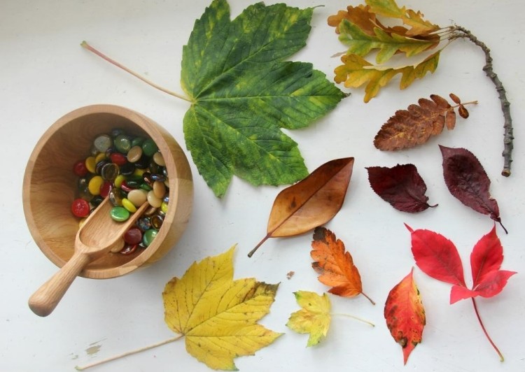 bricolage automne feuilles d'arbres formes tailles couleurs variées