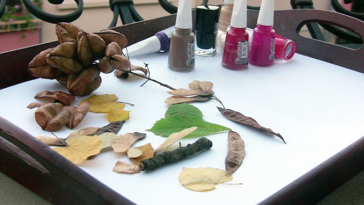 bricolage automne feuilles arbres physalis brindilles vernis
