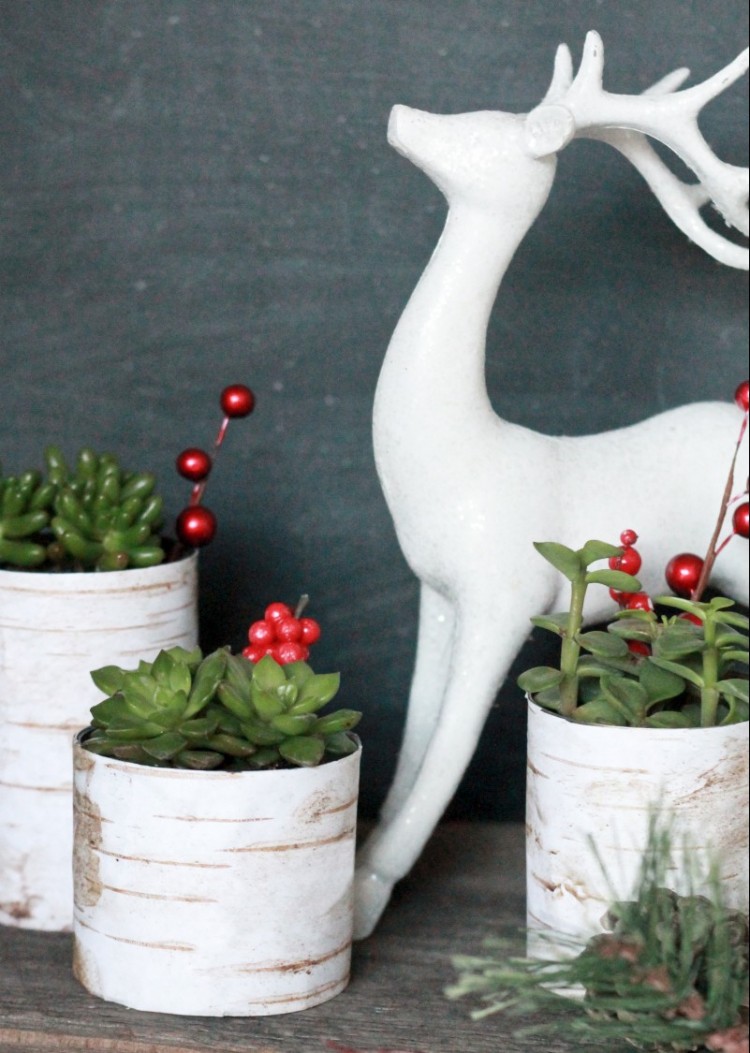 bricolages-Noel-materiaux-recycles-vases-DIY-boites-conserves-plantes-succulentes-baies-artificielles bricolages de Noël