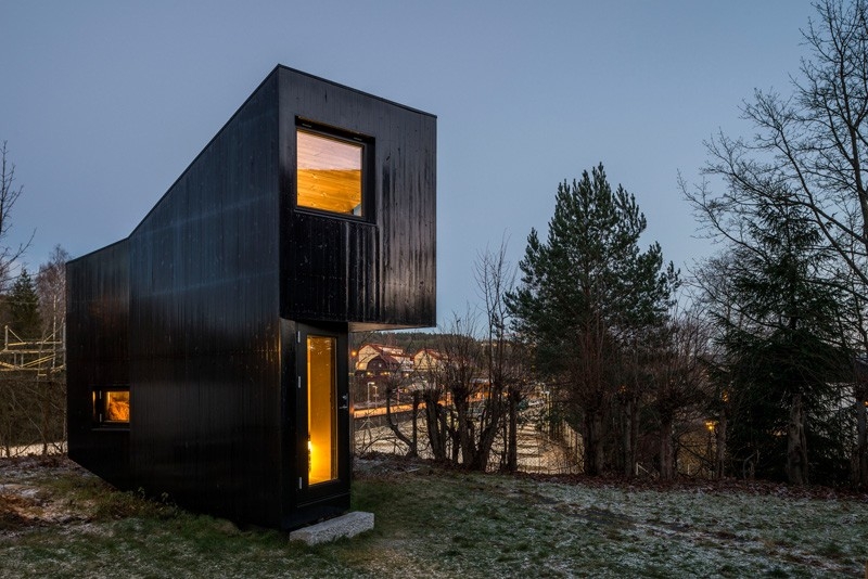 cabane-design-vue-extérieur-façade-bois-noir