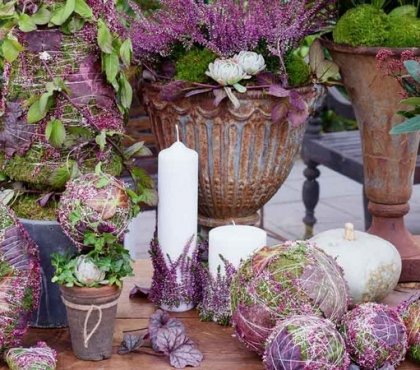 deco-automne-bruyère-erica-boules-florales-arrangements-pots-fleurs-couronnes-lierre-mousse-succulentes