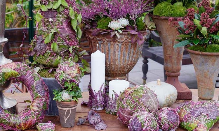 deco-automne-bruyère-erica-boules-florales-arrangements-pots-fleurs-couronnes-lierre-mousse-succulentes déco d’automne