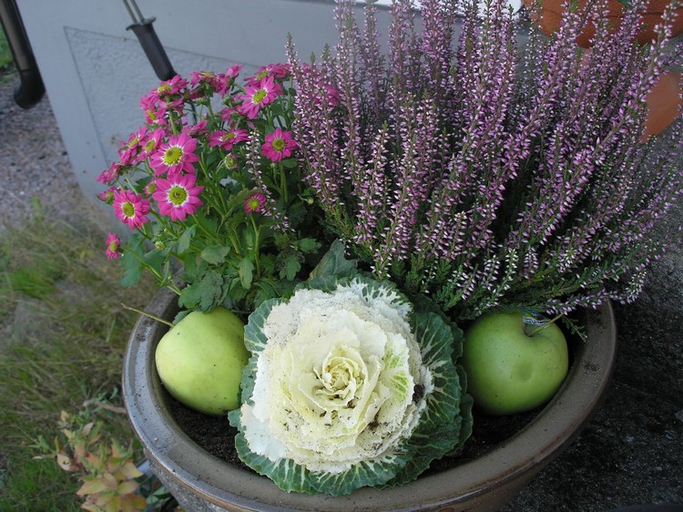 deco-automne-bruyère-erica-terrasse-arrangement-erica-chrysanthèmes-pommes-vertes-chou