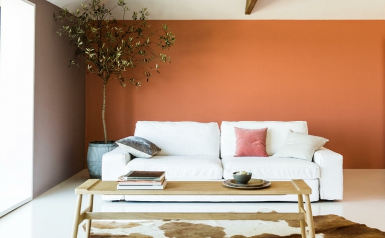 deco-salon-brun-vache-table-basse-rectangulaire-peinture-orange
