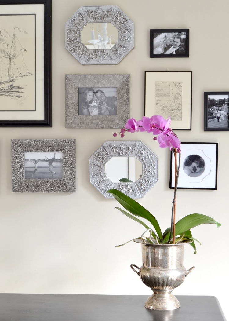 déco-interieur-vase-couleur-argent-orchidee