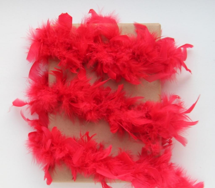 emballage-cadeau-original-papier-brun-guirlande-plumes-rouges