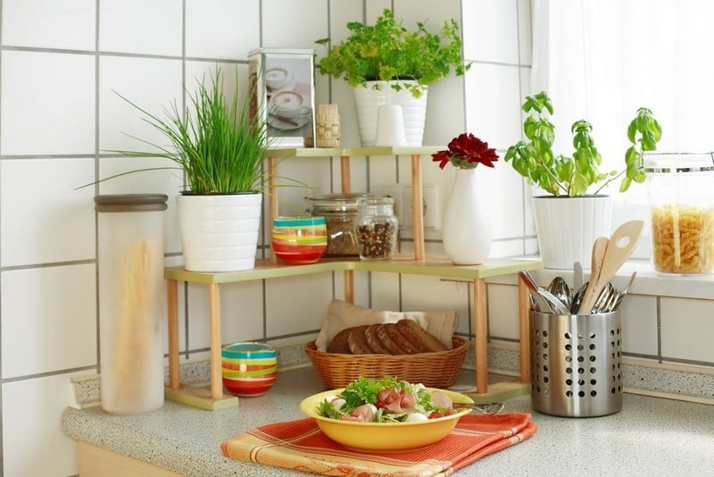 herbes-aromatiques pots design étagère