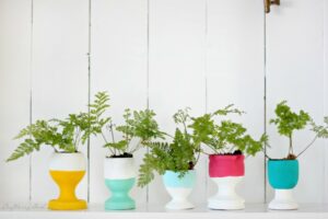 idees-deco-salon-coquetiers-peinture-acrylique-plantes-vertes