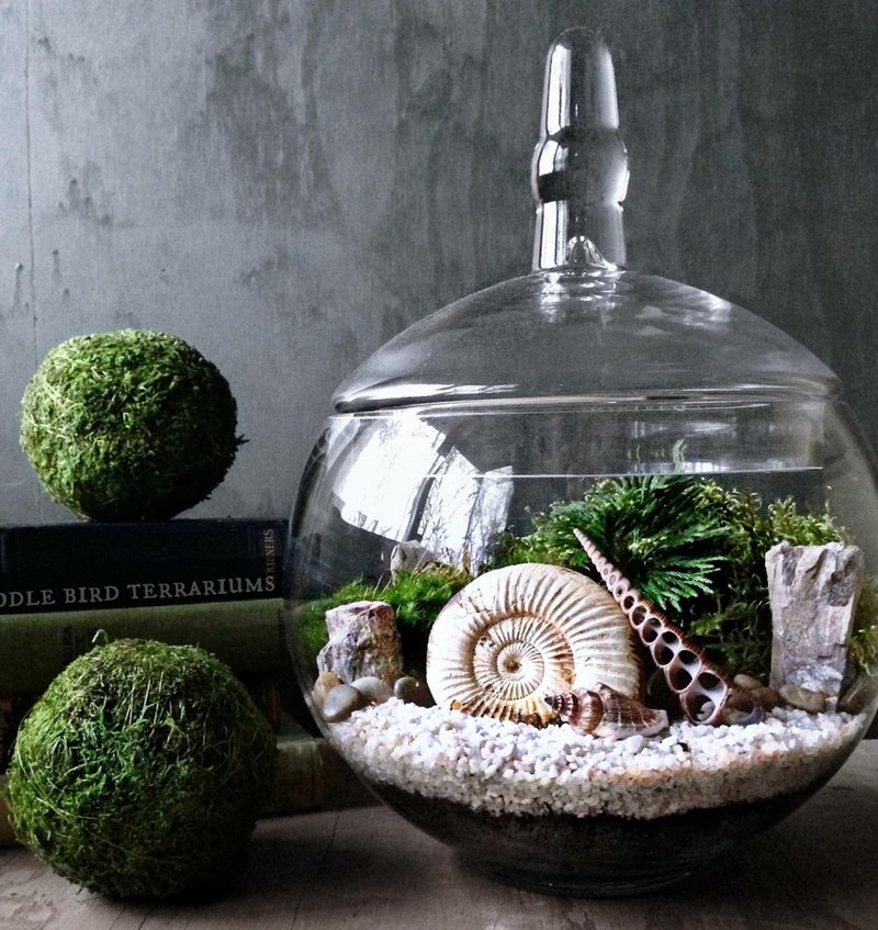 idees-deco-salon-terrarium-coquillages-algues-sable-boules-moussedéco créative