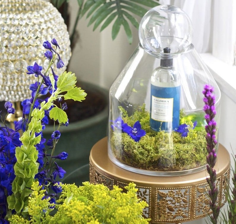idees-deco-salon-terrarium-mousse-fleurs-aromatiques déco créative