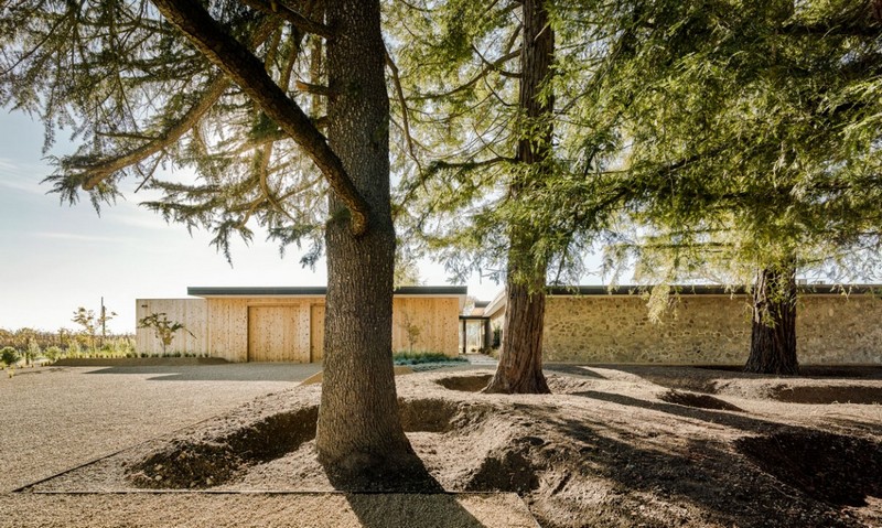 pierre-bois-maison-moderne-pins-hauts-jardin-façade-villa-bois-clair-pierre-naturelle