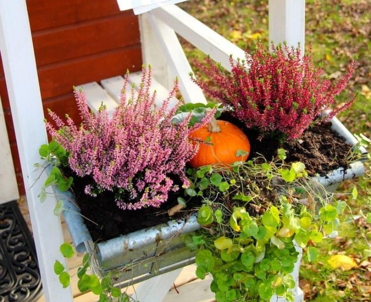 plantes-automne-arrangement-bruyère-lilas-rouge-citrouille-plantes-retombantes plantes d'automne
